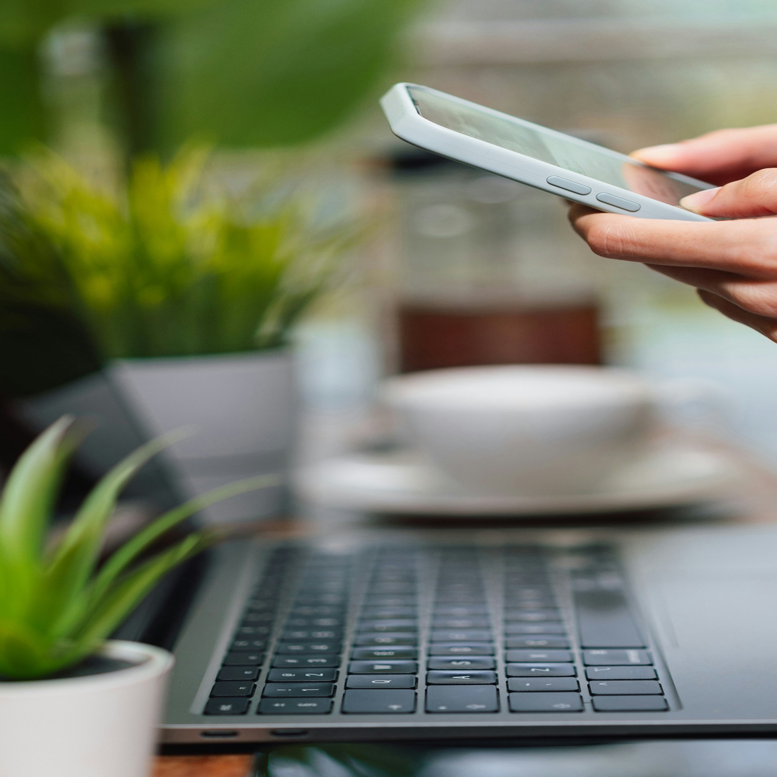 Hand mit Smartphone über einem Laptop auf einem Tisch mit Kaffee und Grünpflanzen